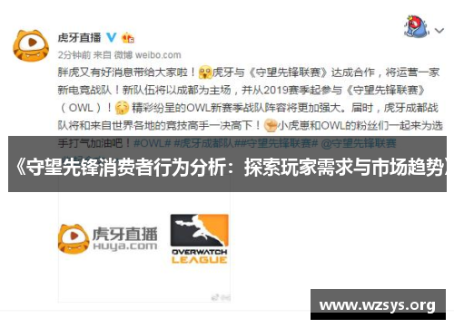 《守望先锋消费者行为分析：探索玩家需求与市场趋势》