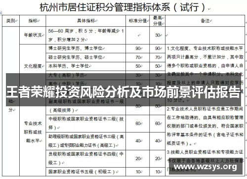 王者荣耀投资风险分析及市场前景评估报告