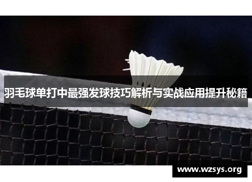 羽毛球单打中最强发球技巧解析与实战应用提升秘籍