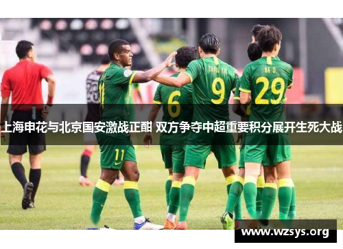 上海申花与北京国安激战正酣 双方争夺中超重要积分展开生死大战